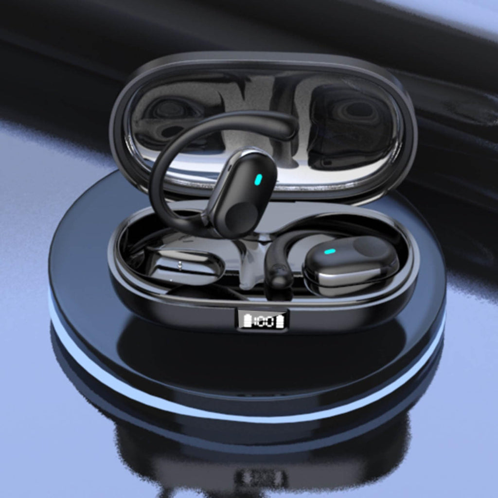 Smart Translation Earbuds