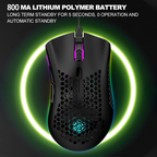 Rechargeable Wireless Gaming Mouse with RGB