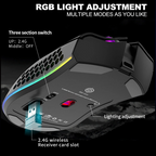 Rechargeable Wireless Gaming Mouse with RGB
